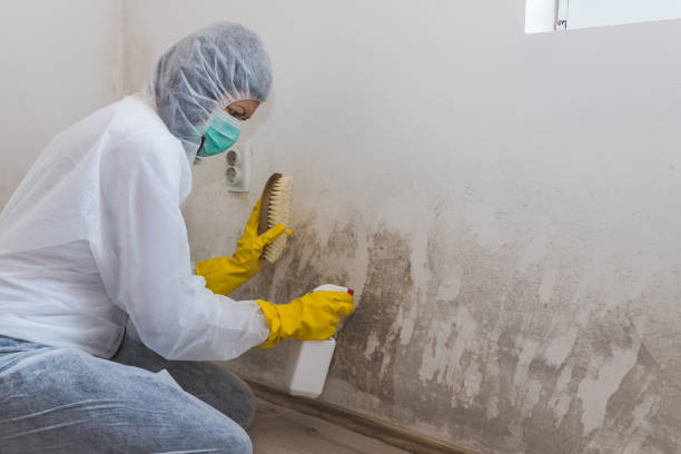 Best Asbestos and Lead Testing During Mold Inspection  in Indian Trail, NC