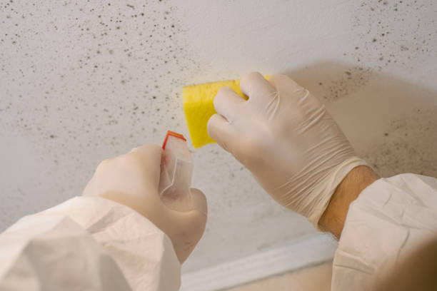 Best Airborne Mold Testing  in Indian Trail, NC